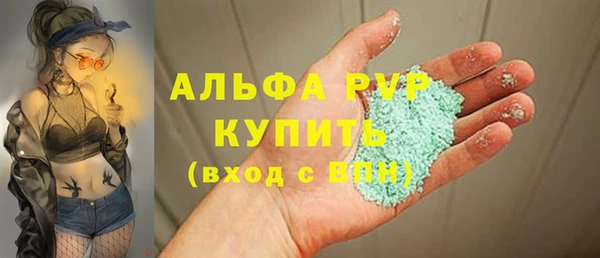 PSILOCYBIN Пересвет