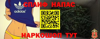 гидра Новоалександровск