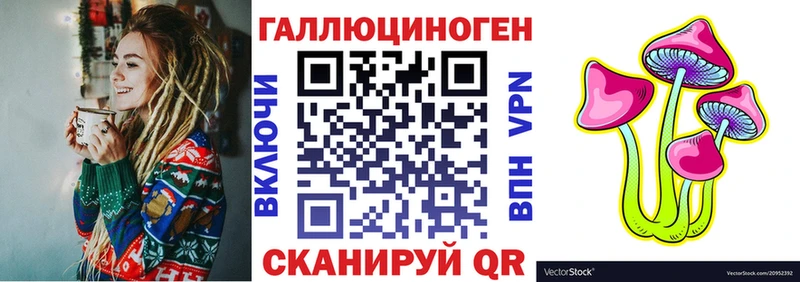 купить наркотики цена Черногорск Псилоцибиновые грибы Psilocybine cubensis